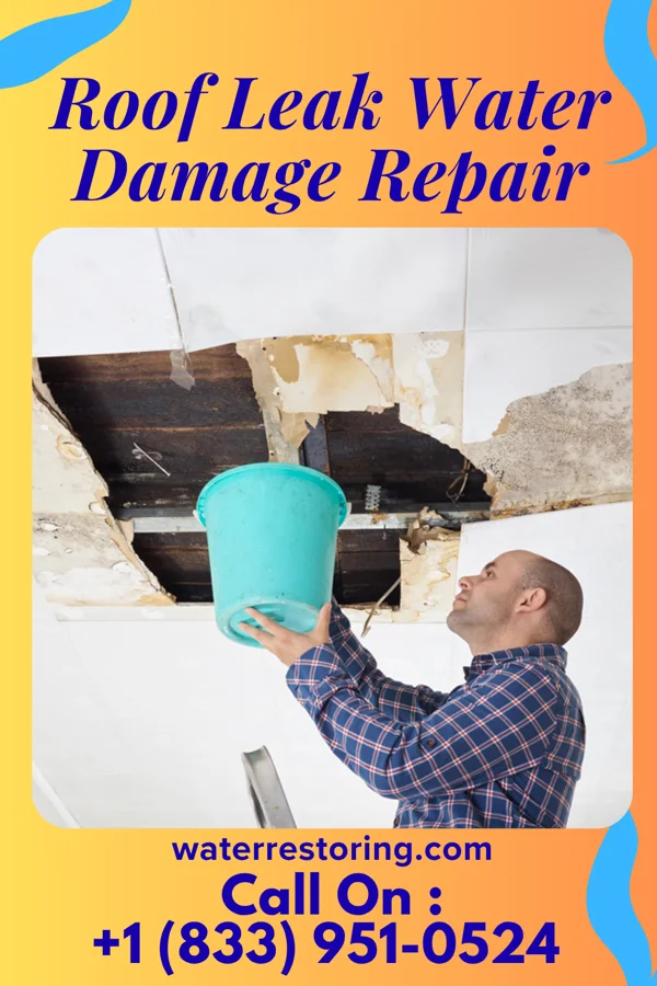 Roof Leak Water Damage Repair in Pleasure Bend, LA