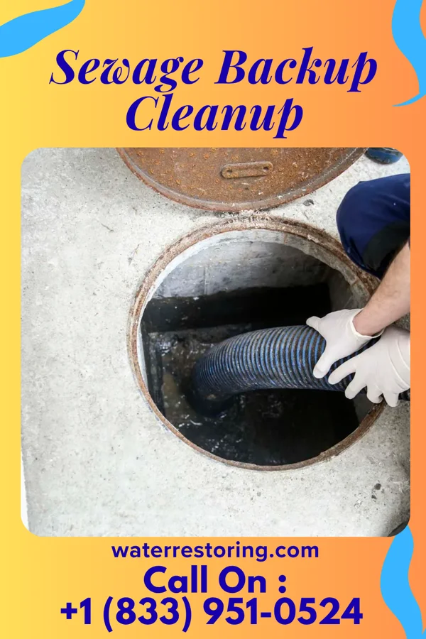 Sewage Backup Cleanup in Pleasure Bend, LA