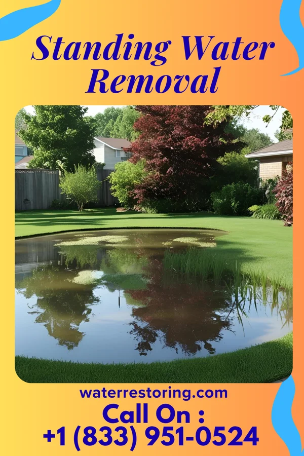 Standing Water Removal in Pleasure Bend, LA